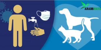 Can Pets receive the new Coronavirus (COVID-19)? Coronavirus and Pets
