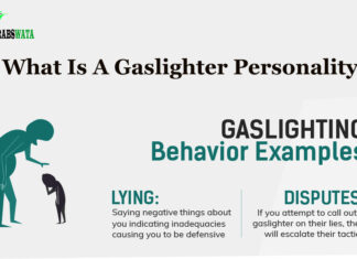 What Is A Gaslighter Personality