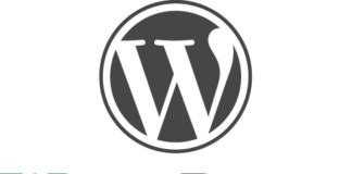 How to Use WordPress