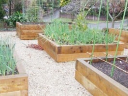 Raised Bed Gardening Designs and ideas